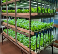 Iot dalam Pertanian Rumah Hijau/Internet Perkara/Pengawal Pintar/Sistem Iot Tanpa Wayar/Sistem Penjejakan Kargo