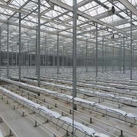 Sisi PC Dan Rumah Hijau Bumbung PE