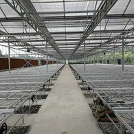 Rumah Hijau Kultur Tisu