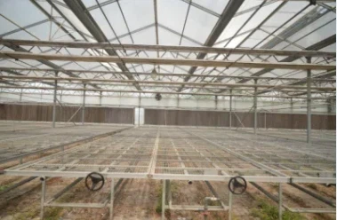 Tissue Culture Greenhouse