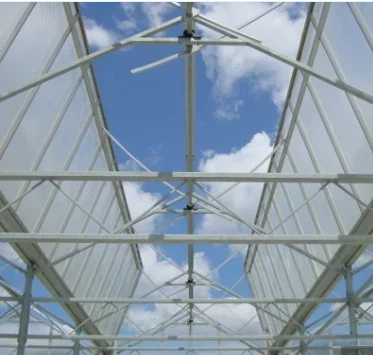 Vegetable Growing Greenhouse With Plastic Film/Hydroponic System